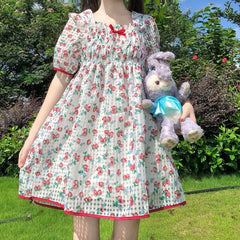 Sweet StrawBerry Kawaii Girl Dolly Mini Dress