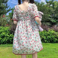 Sweet StrawBerry Kawaii Girl Dolly Mini Dress